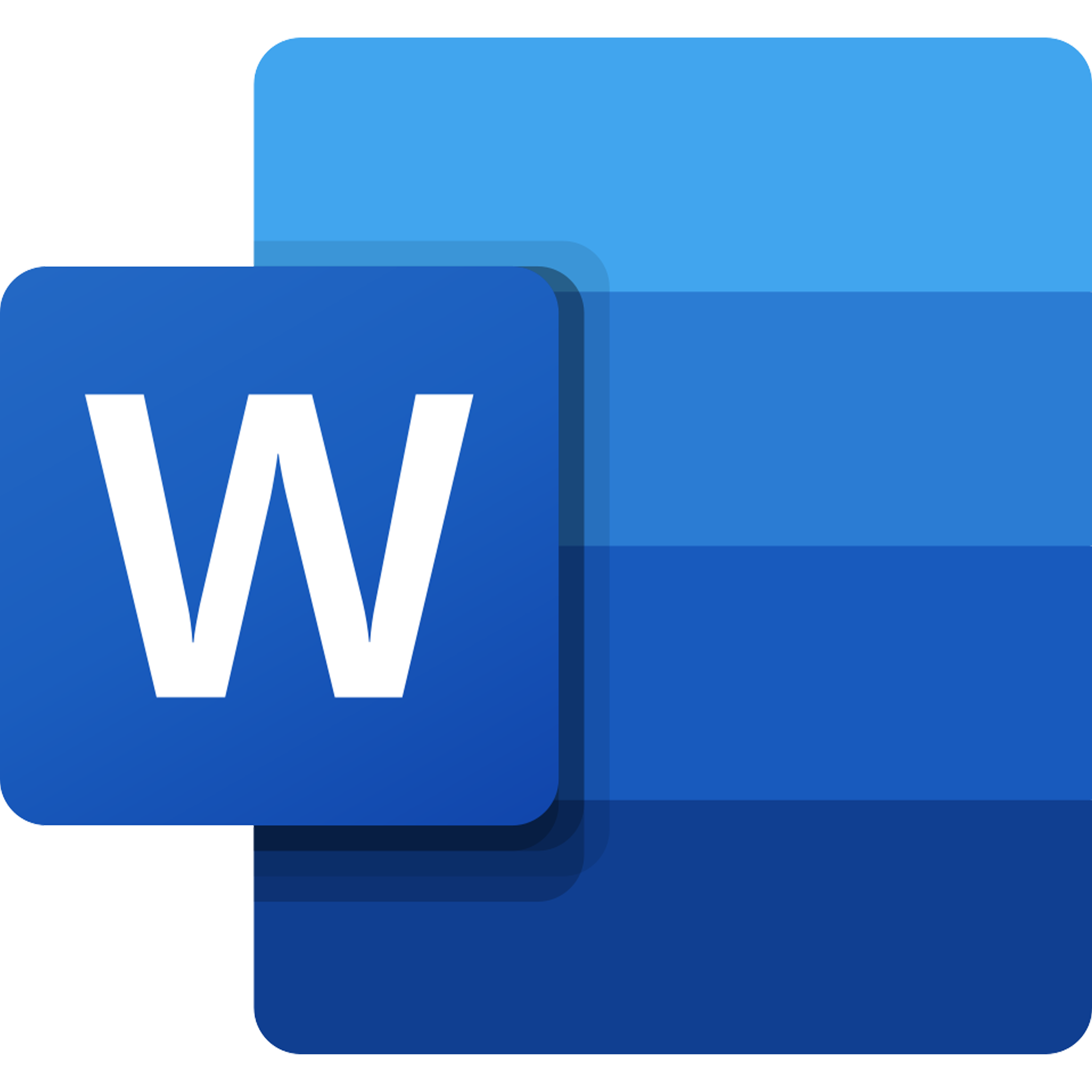 Microsoft Word